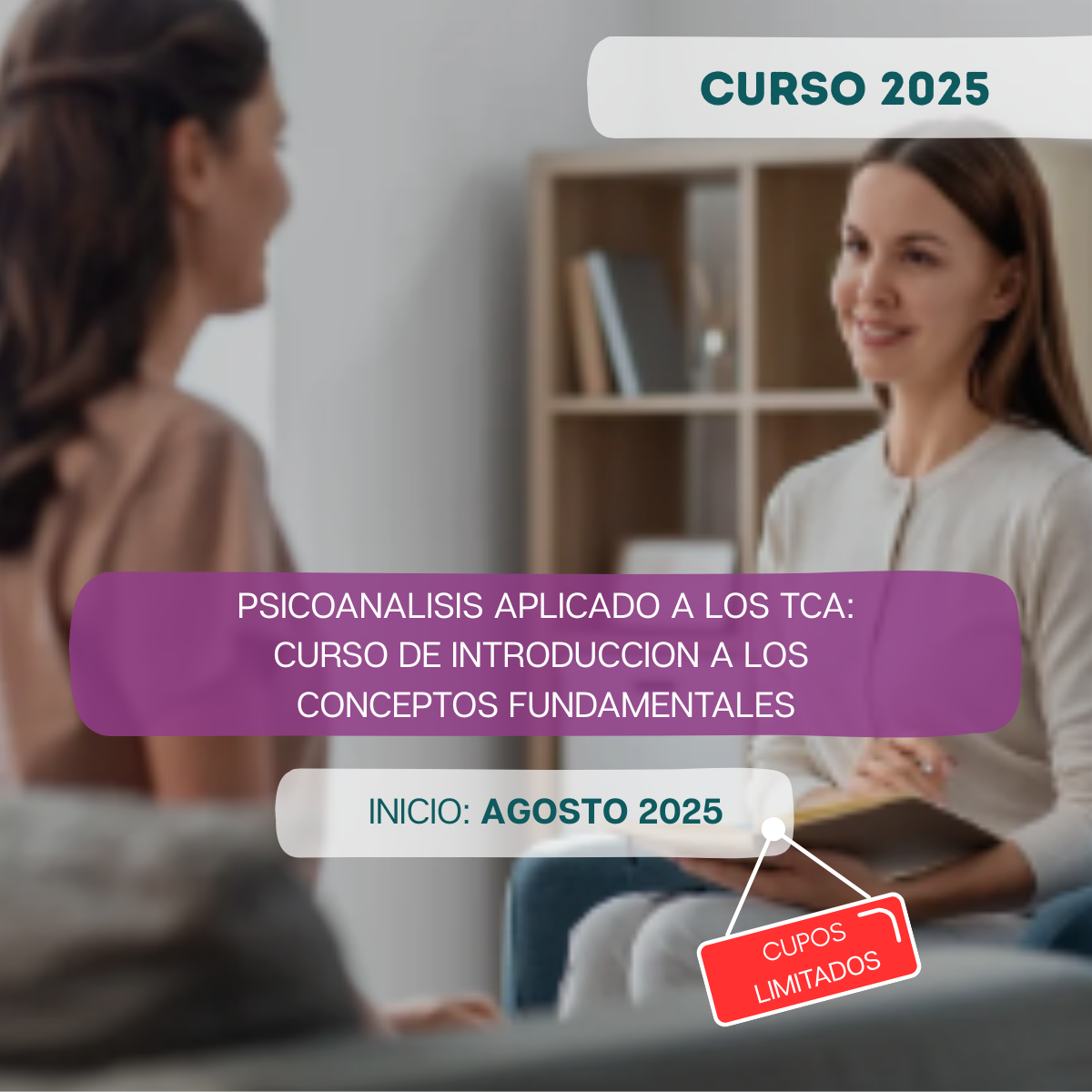 PSICOANALISIS APLICADO A LOS TCA: CURSO DE INTRODUCCION A LOS CONCEPTOS FUNDAMENTALES
